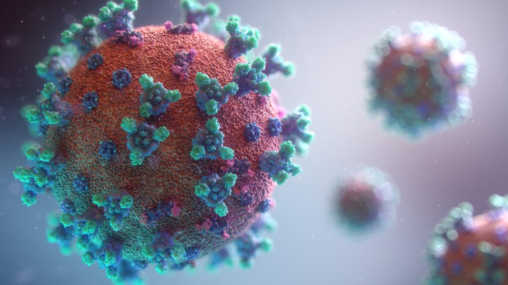 A close-up view of the coronavirus